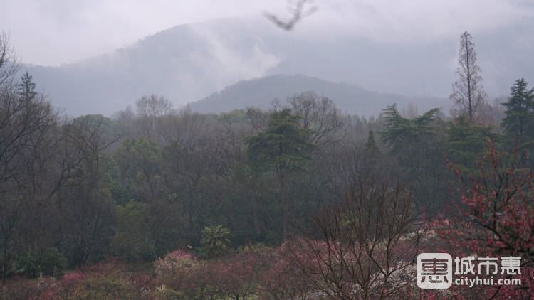 鐘山風景區(qū)