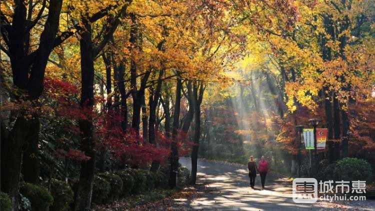 湖南省森林植物園