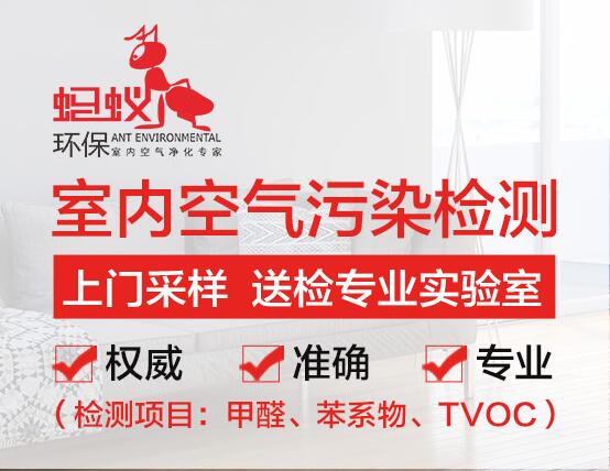 長沙螞蟻除甲醛專業(yè)公司